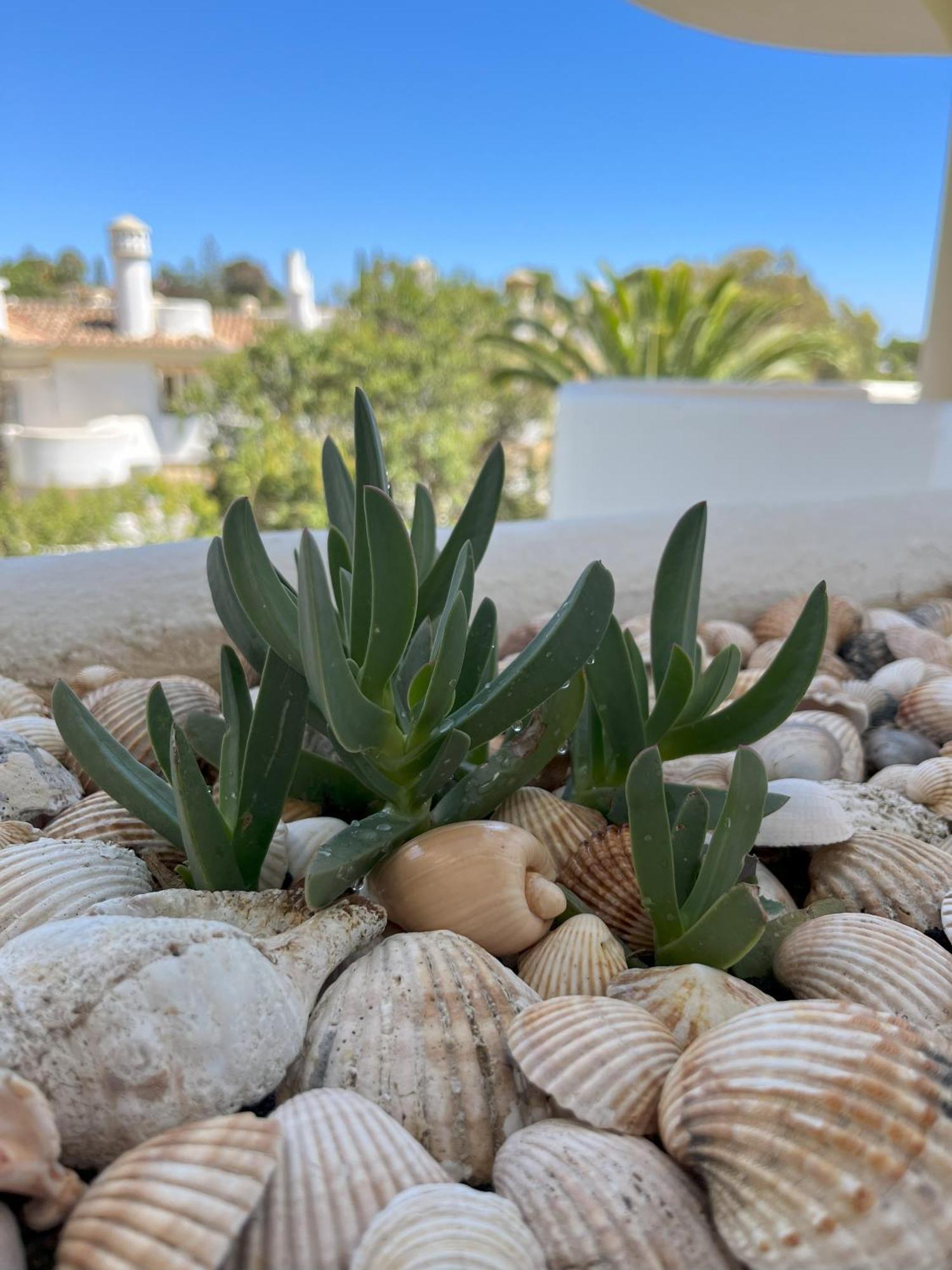 Casadeleon - Costadelsol Vacations & Remote Work Sitio de Calahonda エクステリア 写真
