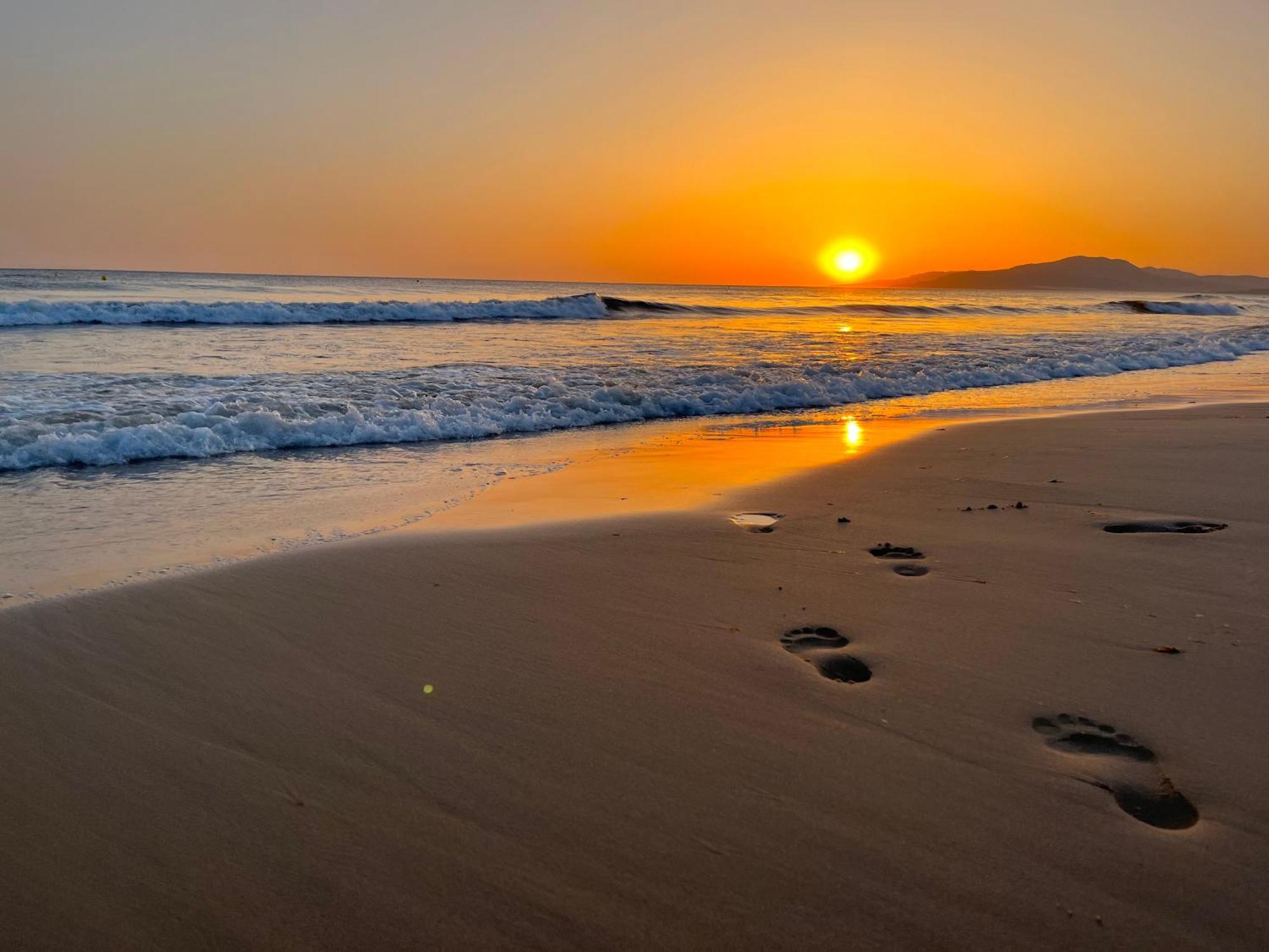 Casadeleon - Costadelsol Vacations & Remote Work Sitio de Calahonda エクステリア 写真